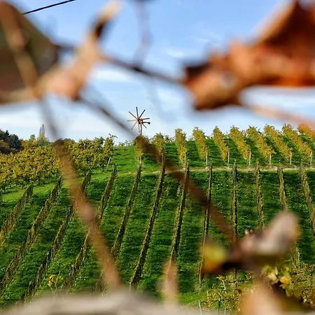 Weingut Zirngast 3* ليوتسشاخ