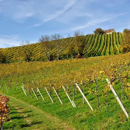 Weingut Zirngast بيت ضيافة ليوتسشاخ