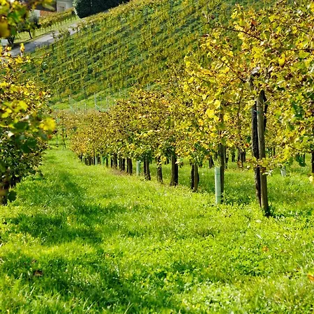 Weingut Zirngast Gasthuis Leutschach