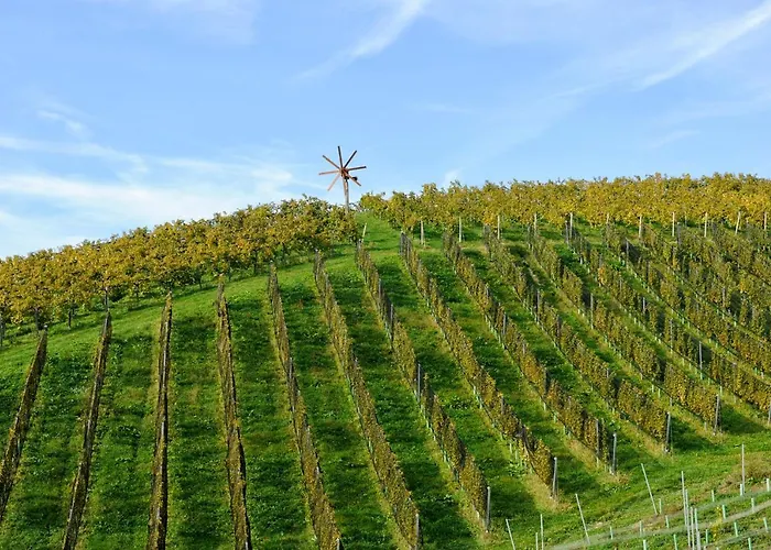 Weingut Zirngast Leutschach