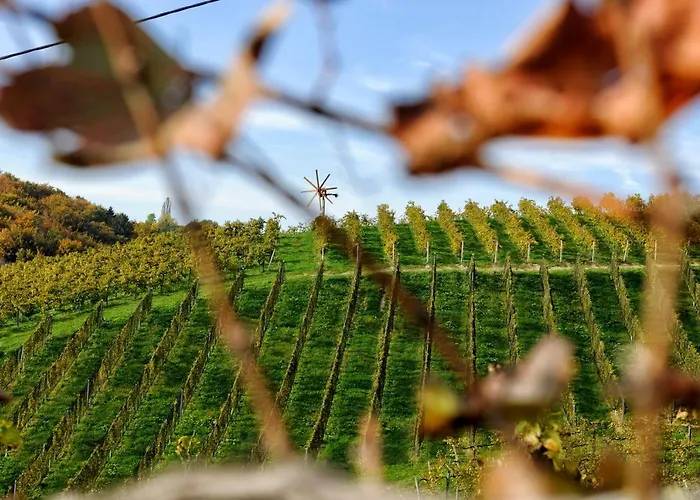 Weingut Zirngast 3* Leutschach